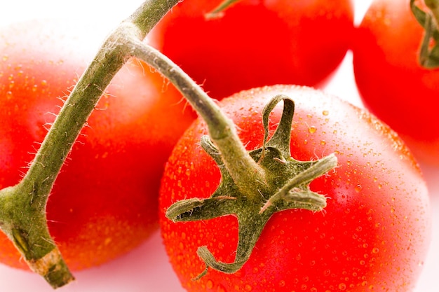 Tomates Roma biologiques sur fond blanc.