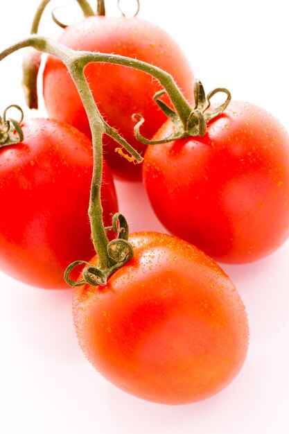 Tomates Roma biologiques sur fond blanc.