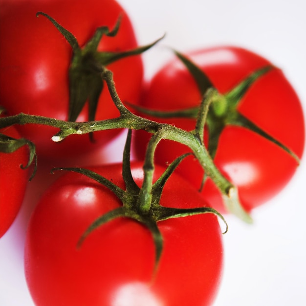 Tomates rouges sur une brindille verte sur fond blanc