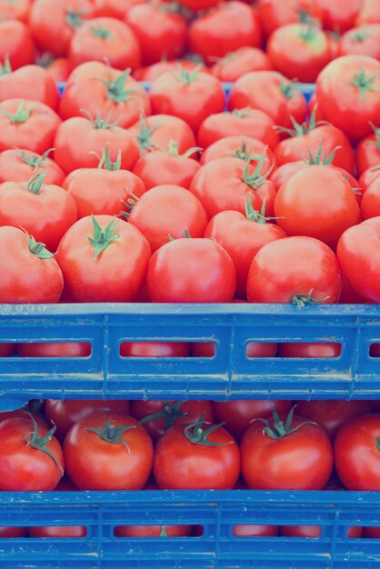 Tomates rouges dans un récipient bleu