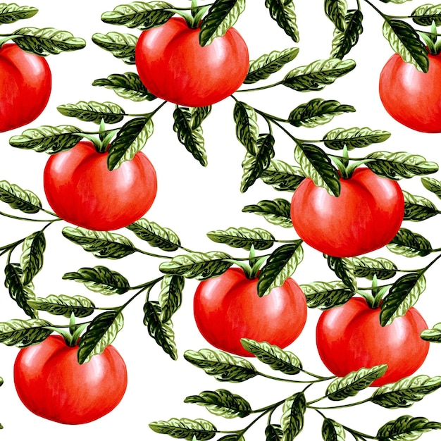 Des tomates rouges avec des feuilles vertes sur fond blanc _ illustration de marqueur