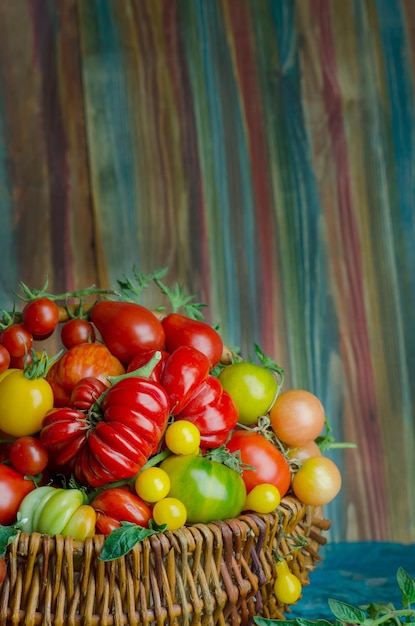 Tomates rouges fraîches dans le panier dans la cuisine. Tomates dans le panier en osier dans la cuisine