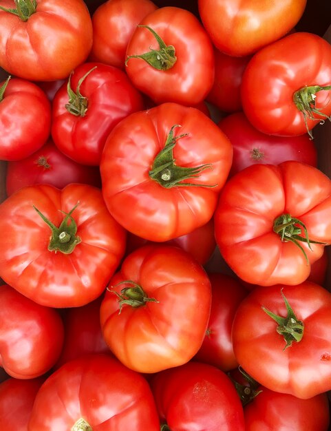 Tomates rouges et jaunes dans des boîtes au marché des fermiers.focus sélectif.nature