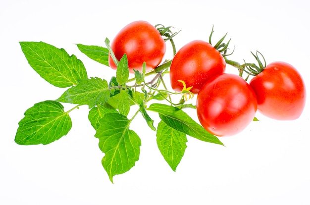 Tomates rouges mûres avec des branches et des feuilles sur le gros plan de fond blanc. Studio photo.