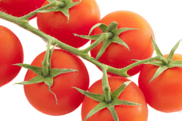 Des tomates rouges mûres sur une vigne sur un fond blanc