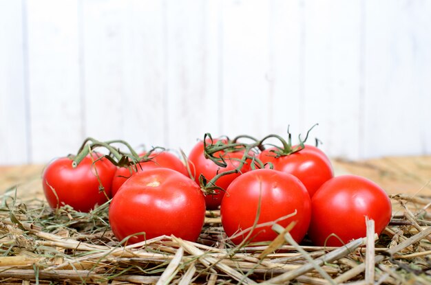 Tomates rouges en paille