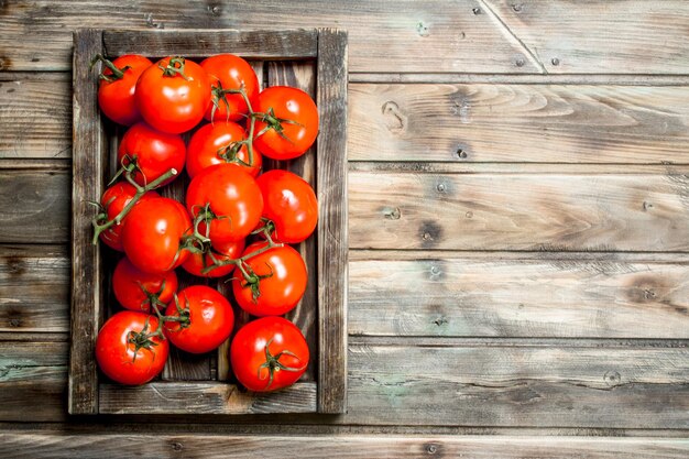 Tomates rouges parfumées sur plateau