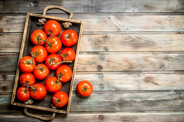 Tomates rouges sur plateau