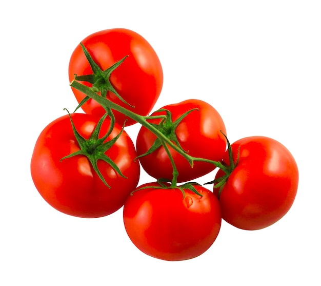 Tomates rouges de récolte fraîche sur une branche sur une vue de dessus de surface blanche isolée