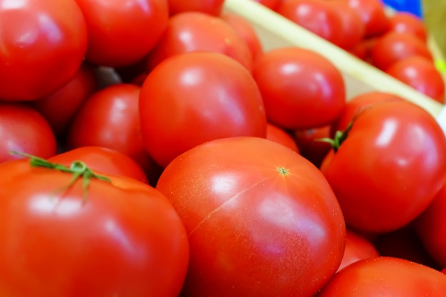 Tomates rouges très fraîches et délicieuses