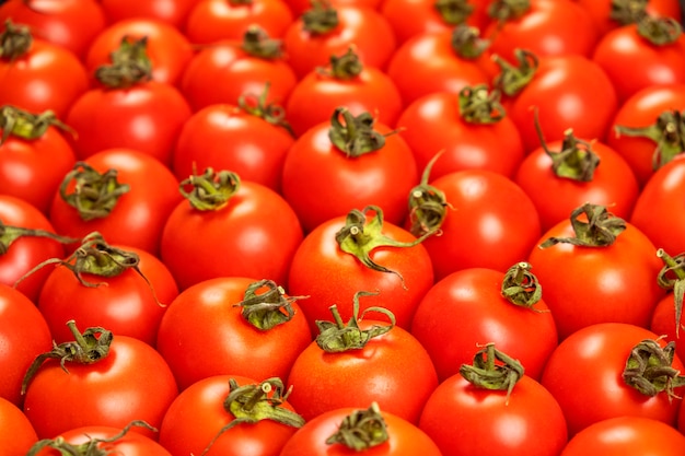 Tomates rouges