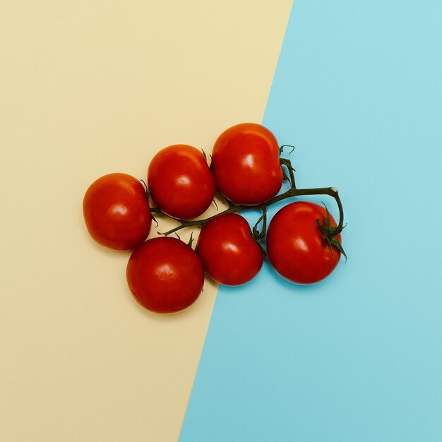 Photo tomates. style de mode art minimalisme