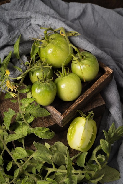 Tomates vertes fraîches sur un fond simple