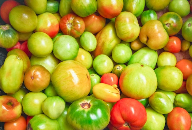 tomates vertes grandes et petites affichage de la récolte du marché aux légumes