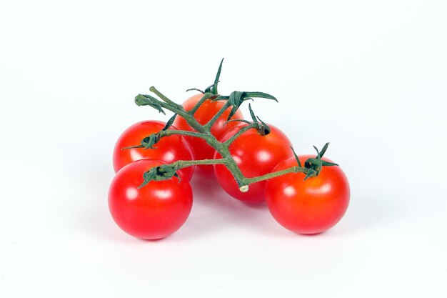 TomatoxD coloré frais