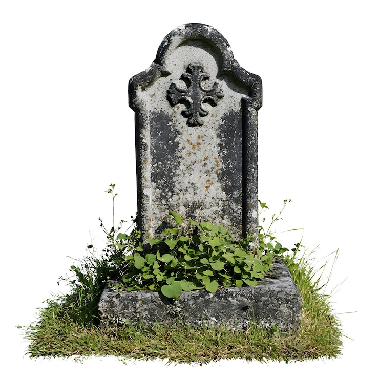 Photo une tombe avec une fleur et une petite plante au milieu