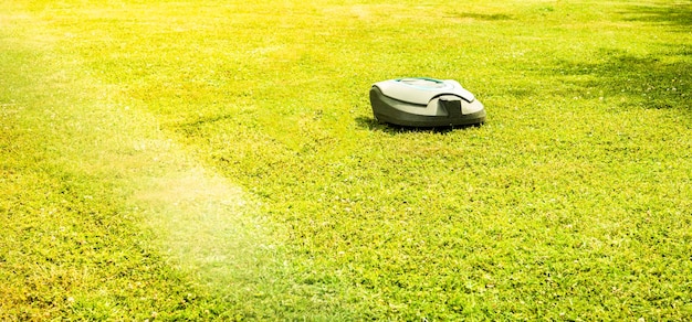 Tondeuse à Gazon Automatique Sur L'herbe D'été. Jardin Moderne Aux Beaux Jours Sur Le Village.