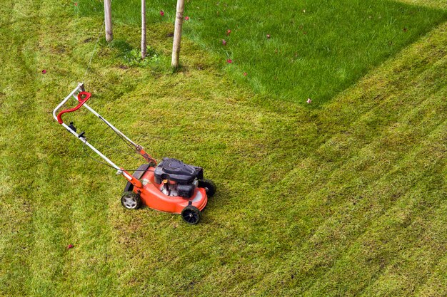 Tondeuse à gazon couper l'herbe sur champ vert dans yard