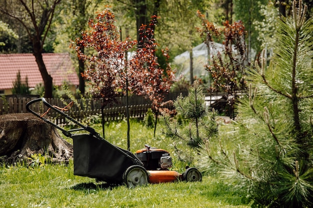 Tondeuse à gazon dans le jardin