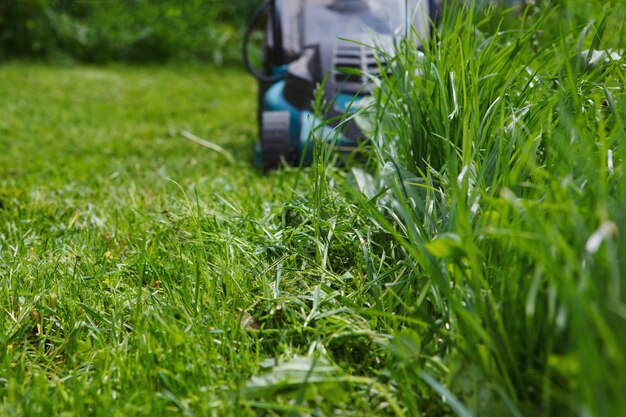 Tondeuse à gazon électrique coupe herbe verte. La différence entre les parties traitées et envahies du champ.