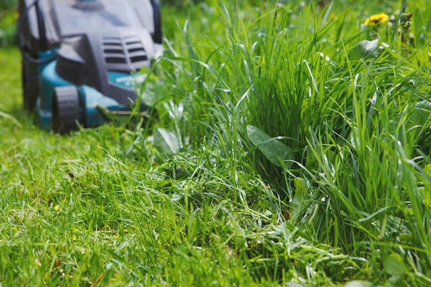 Tondeuse à gazon électrique coupe herbe verte. La différence entre les parties traitées et envahies du champ.