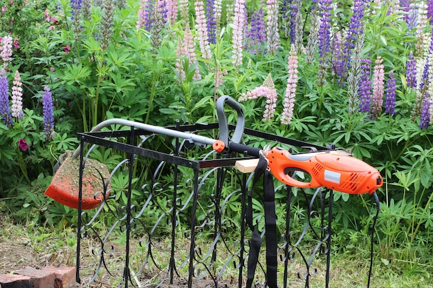 Tondeuse à gazon jardin été printemps