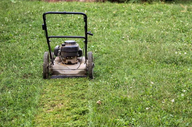 Tondre l&#39;herbe