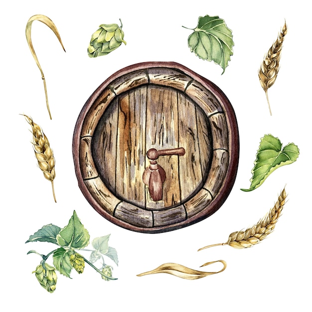 Tonneau de bière en bois et illustration aquarelle d'oreille de blé de vigne de houblon isolé sur blanc