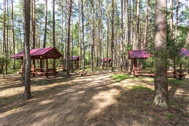 Tonnelles de camping en bois tout confort dans une pinède