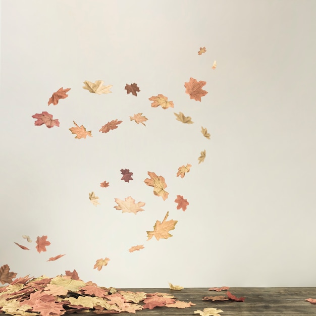 Photo tornade d'automne sous le bouquet de feuilles