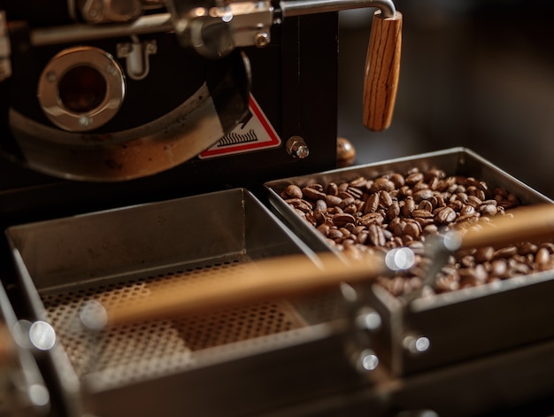 Torréfacteur professionnel avec grains de café