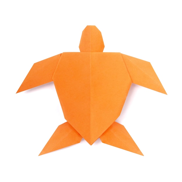 Photo tortue de mer origmi orange sur fond blanc