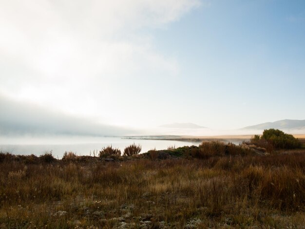 Tôt le matin au bord du lac avec du brouillard au début de l'automne.