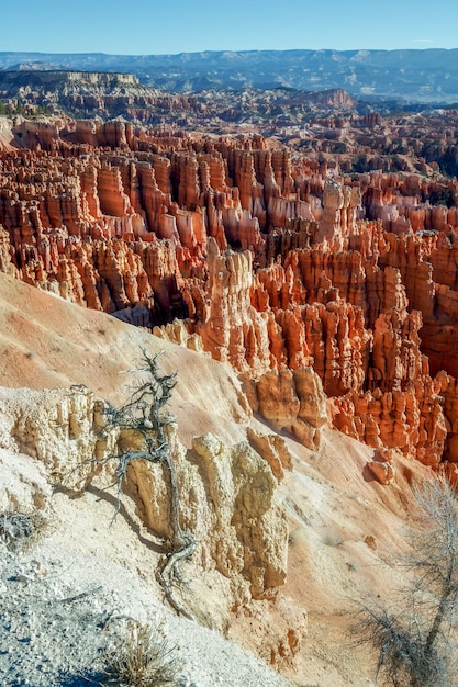 Tôt le matin à Bryce Canyon