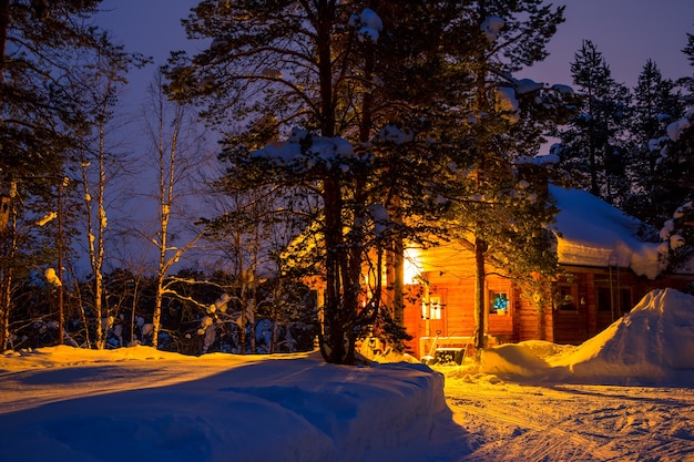 Tôt le matin dans la forêt d'hiver