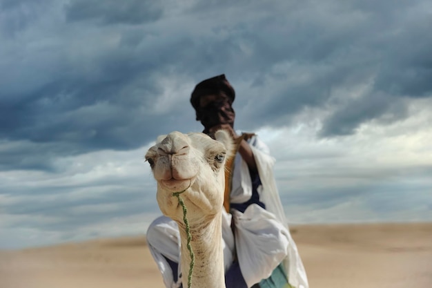 Touareg avec chameau à Tombouctou