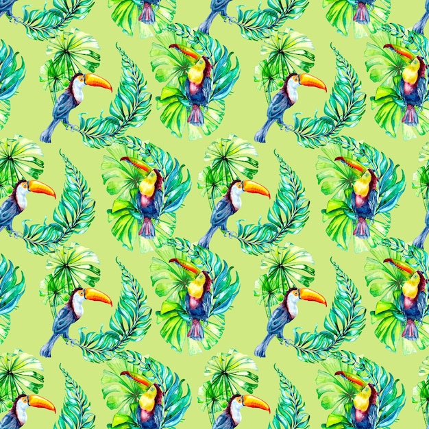 Toucan oiseau tropical et feuilles de palmier aquarelle transparente motif isolé