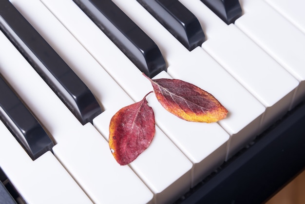 Touches de piano musical et feuilles d'automne