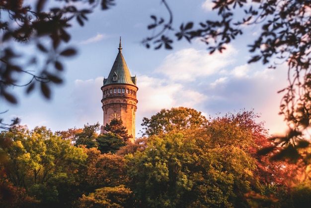 Tour de la banque du luxembourg entourée d&#39;arbres