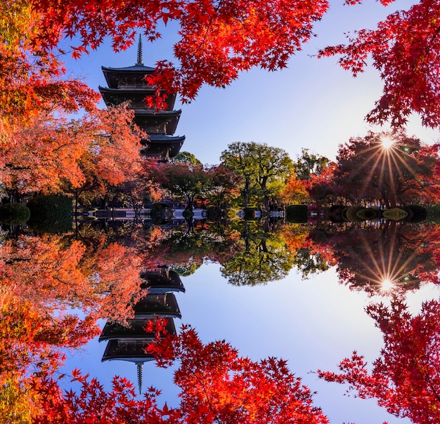 Photo la tour en bois du temple toji à kyoto à l'automne