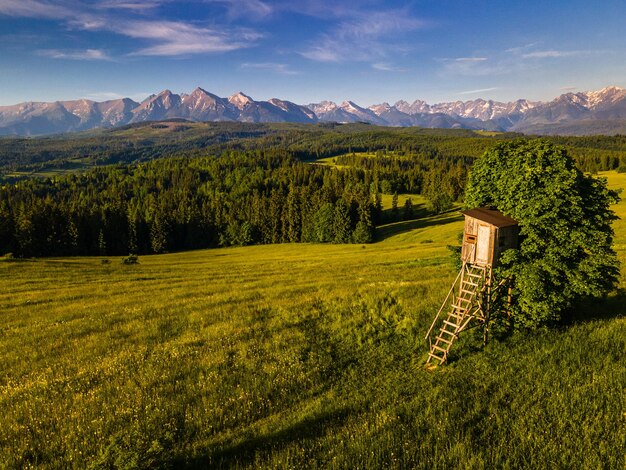 Tour de chasse sur Meadow à Lapszanka dans les Hautes Tatras en Pologne