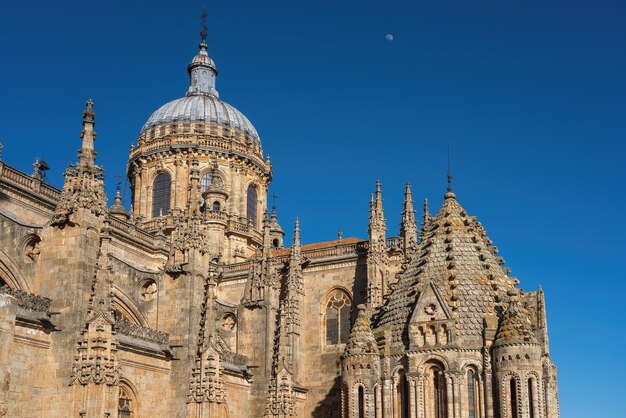 Photo tour de croisement torre del galo et tour de lanterne de la cathédrale de salamanque salamanque espagne