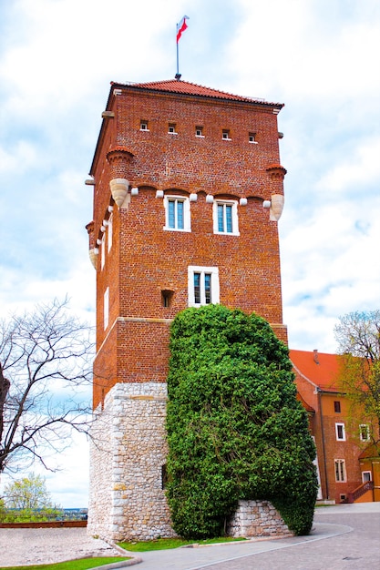 Tour dans le château de Wawel Cracovie Pologne