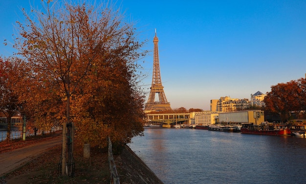 La tour Eiffel et les arbres d'automne au premier plan Paris