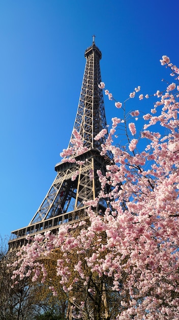 Tour Eiffel au printemps, Paris, France