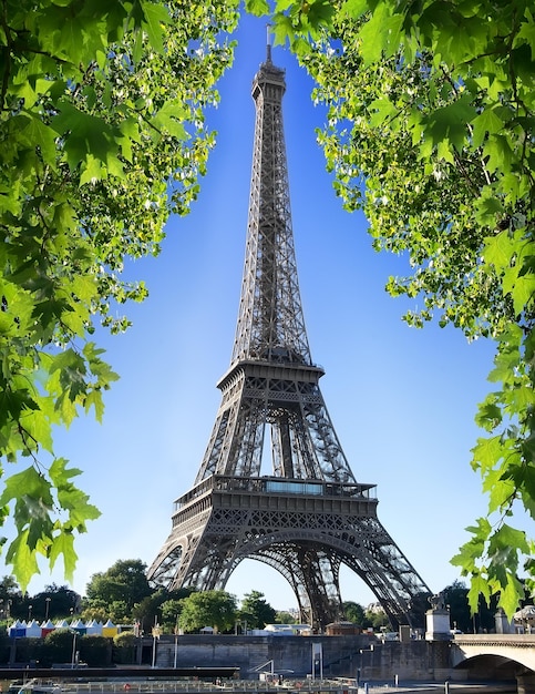 Tour Eiffel et érable à Paris, France