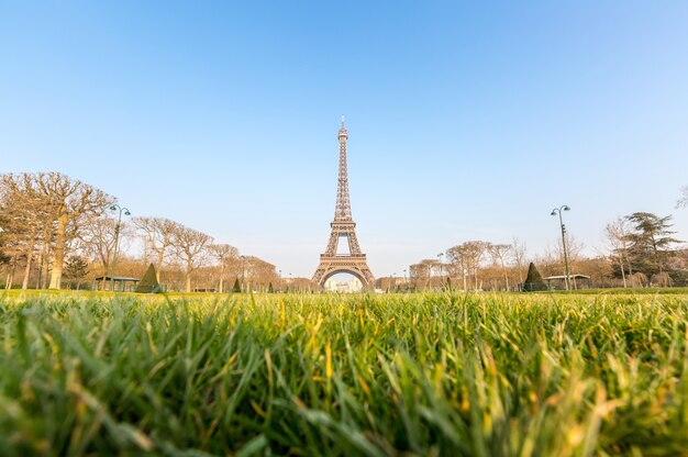 Photo tour eiffel jardin printemps paris