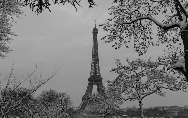 La tour Eiffel noire et blanche d'un jardin avec des arbres nus en hiver Paris France