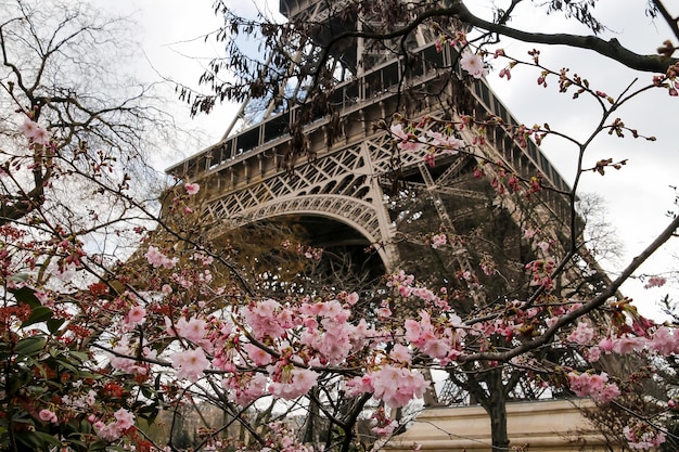 Tour Eiffel Paris France Europe Vue de la célèbre icône du voyage et du tourisme pendant la journée au printemps
