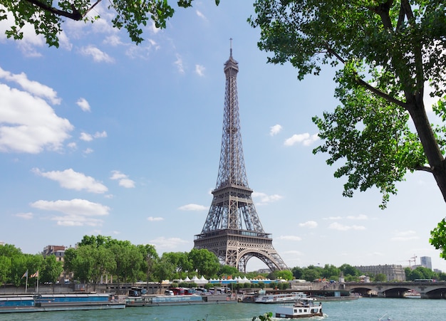 Tour Eiffel sur Seine avec arbre, Paris, France